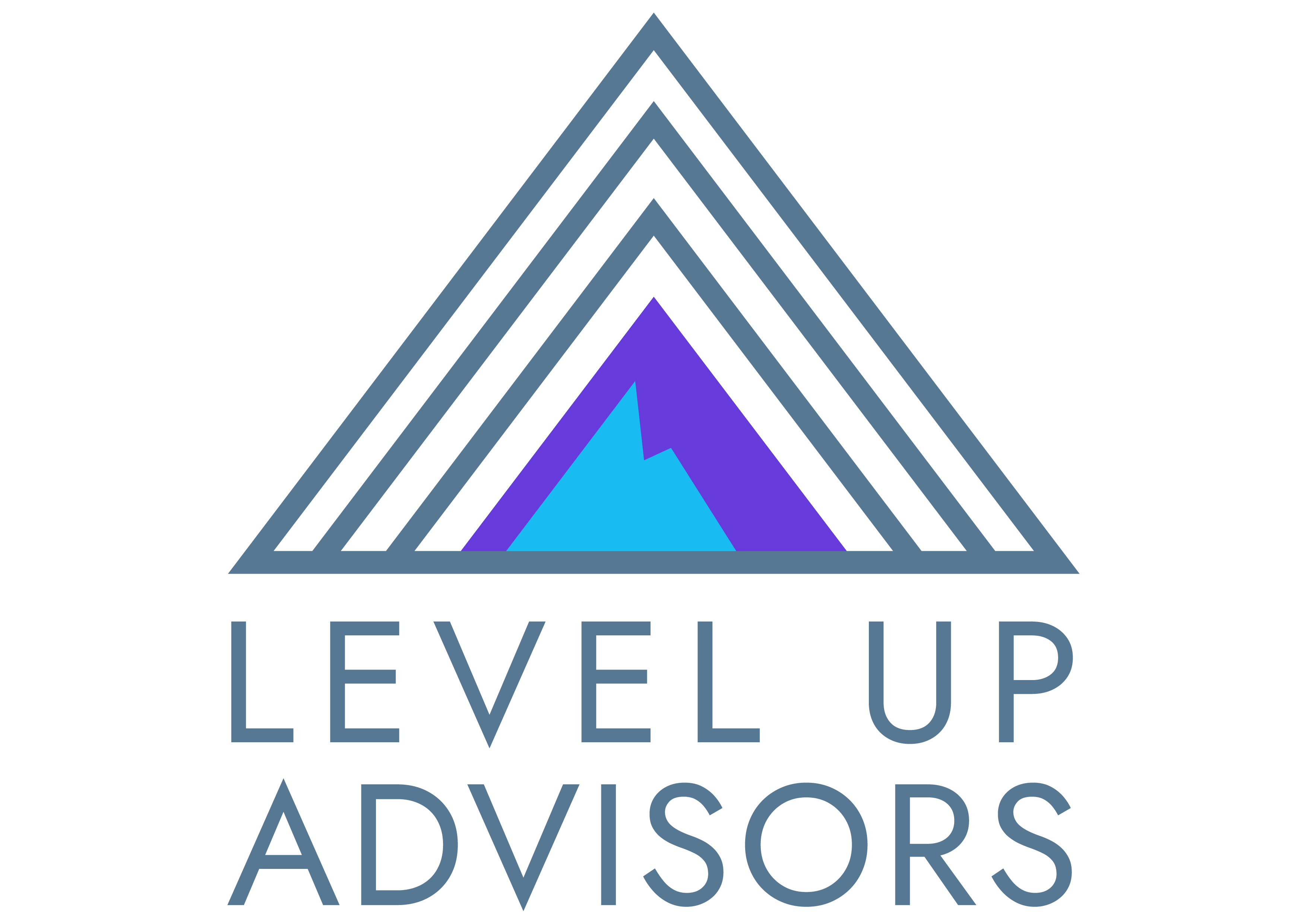 Level Up Advisors
